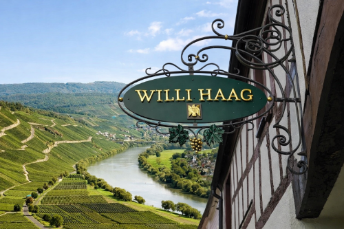 Nové vinařství z Mosely