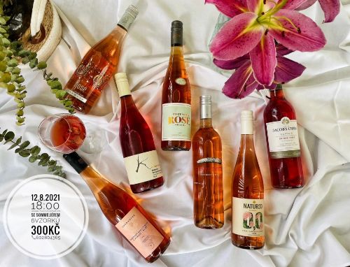 Degustace růžových vín se sommeliérem